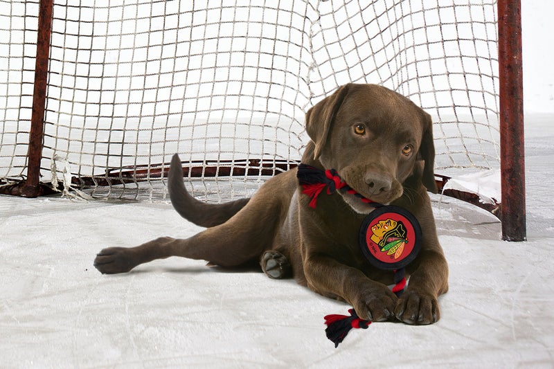 Pets First Rubber Dog Toy - Heavy-Duty Rope Tug with NHL Chicago Blackhawks Puck. Play Hockey with Your Pet! - Image 2